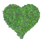 green-heart-1440670_1280